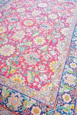 Indian Art - Lotus Medley