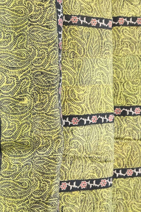 Paisley Jaquard Shawl - Mint Green