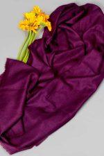 Pashmina Stole - Purple