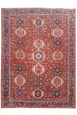 Persian Bakhtiar - Rams Horn