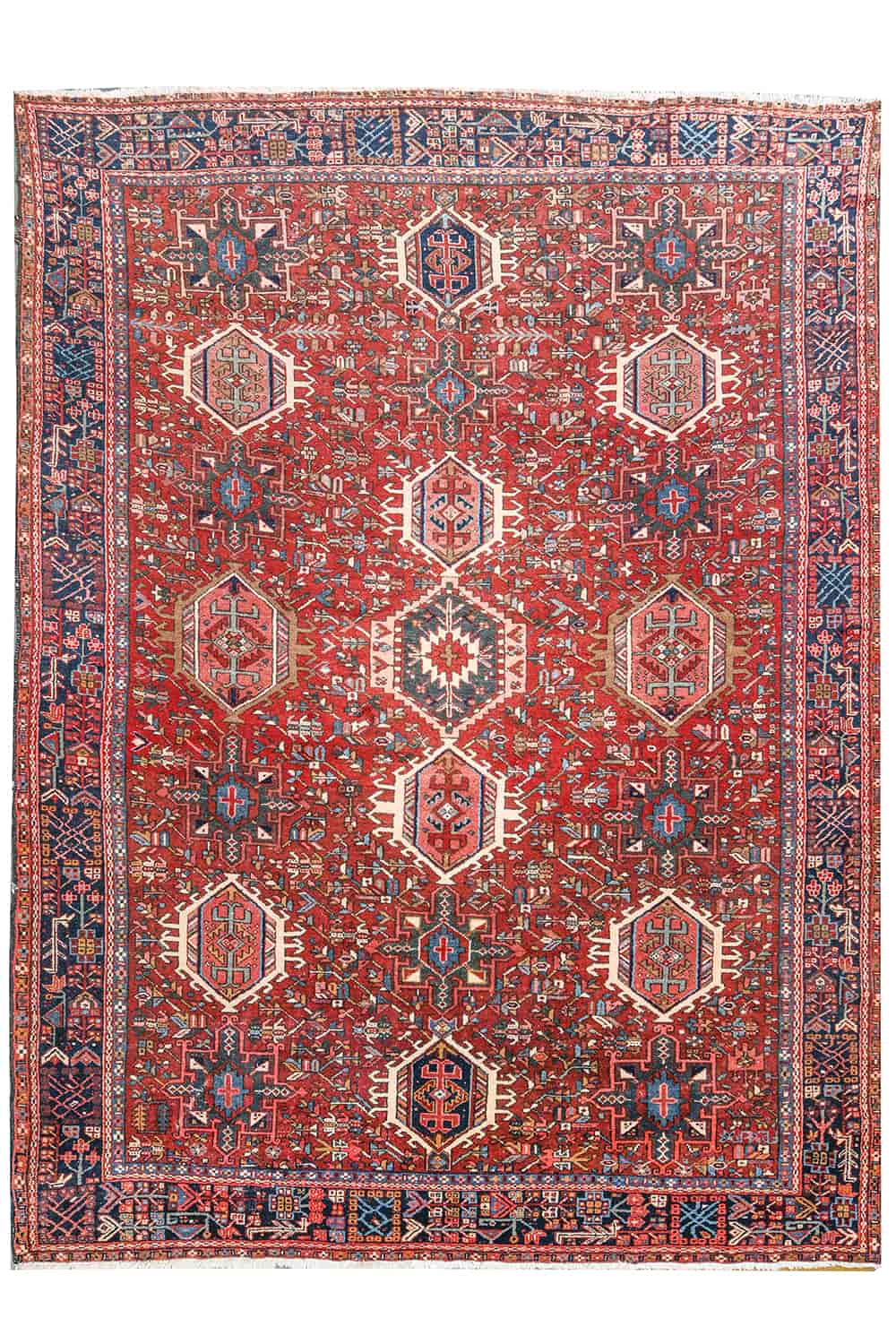 Persian Bakhtiar – Rams Horn