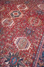 Persian Bakhtiar - Rams Horn
