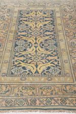 Antique Agra Jail Summer Cotton Carpet - Multi Border