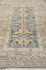 Antique Agra Jail Summer Cotton Carpet - Multi Border