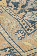 Antique Agra Jail Summer Cotton Carpet - Multi Border