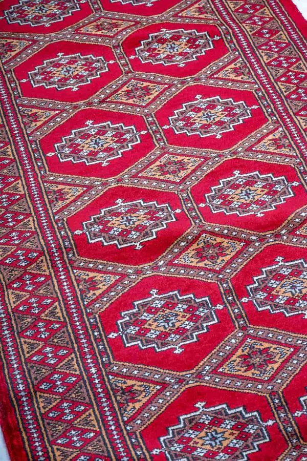 Amritsar Bukhara - Lava Red