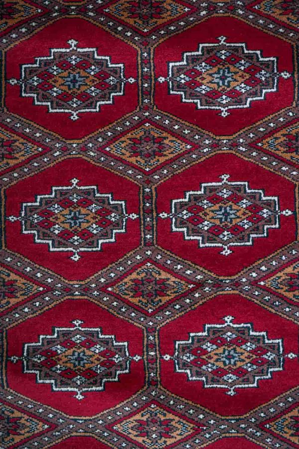 Amritsar Bukhara - Lava Red