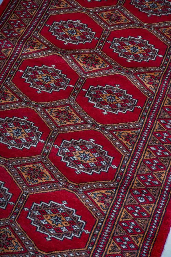 Amritsar Bukhara - Lava Red
