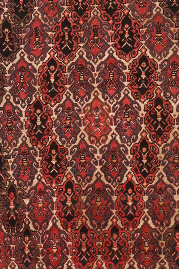 Vintage Tribal Afshar - Power House