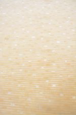 Zen Collection - Golden Light