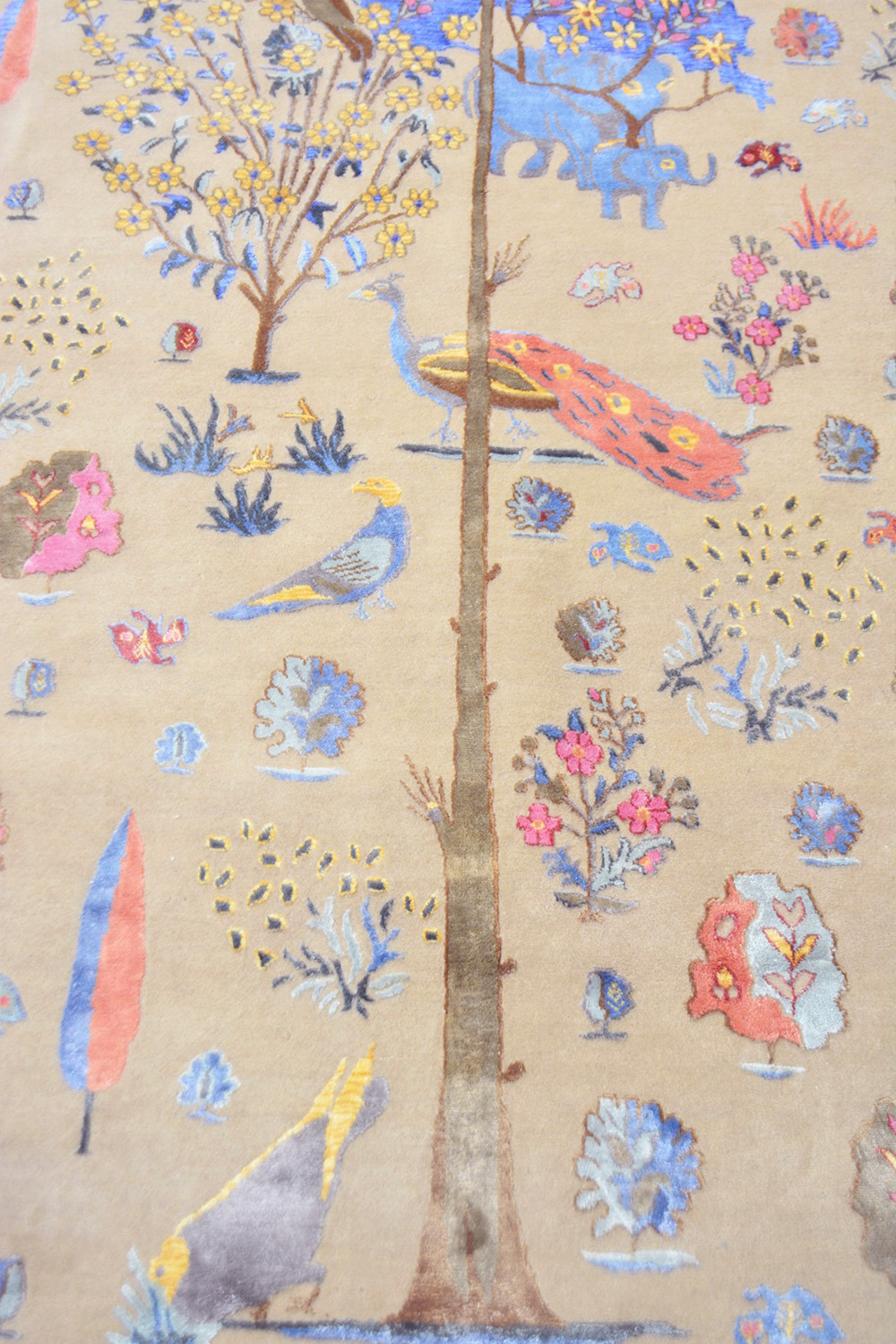 Safavid Collection – Noah’s Ark