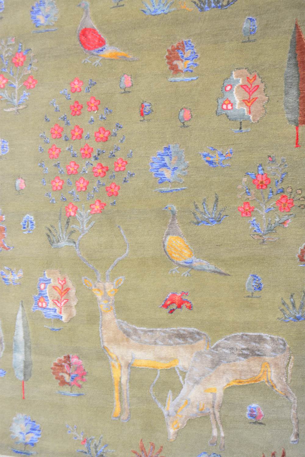 Safavid Collection – Flora Fauna