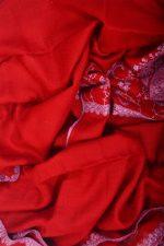 Light Weight Shahmina Palladar Stole - Crimson