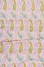 Light Weight Shahmina Jamawar Shawl - Exuberant