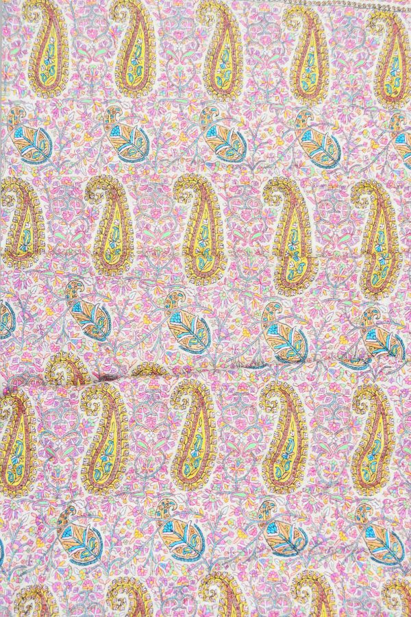 Light Weight Shahmina Jamawar Shawl - Exuberant