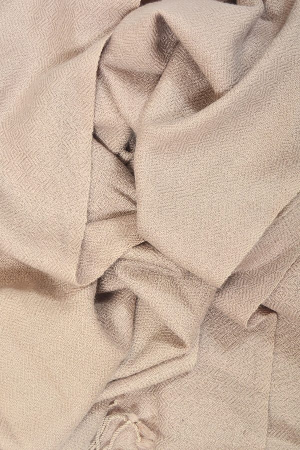 Pashmina Shawl - Fawn