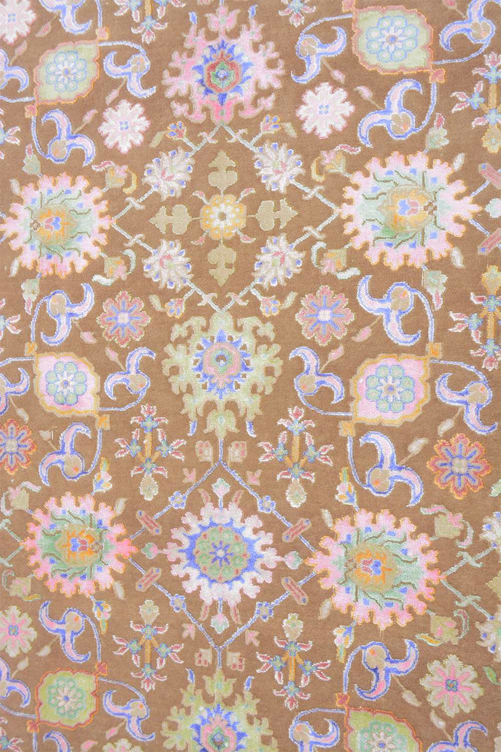 Safavid Collection – Sea Shell