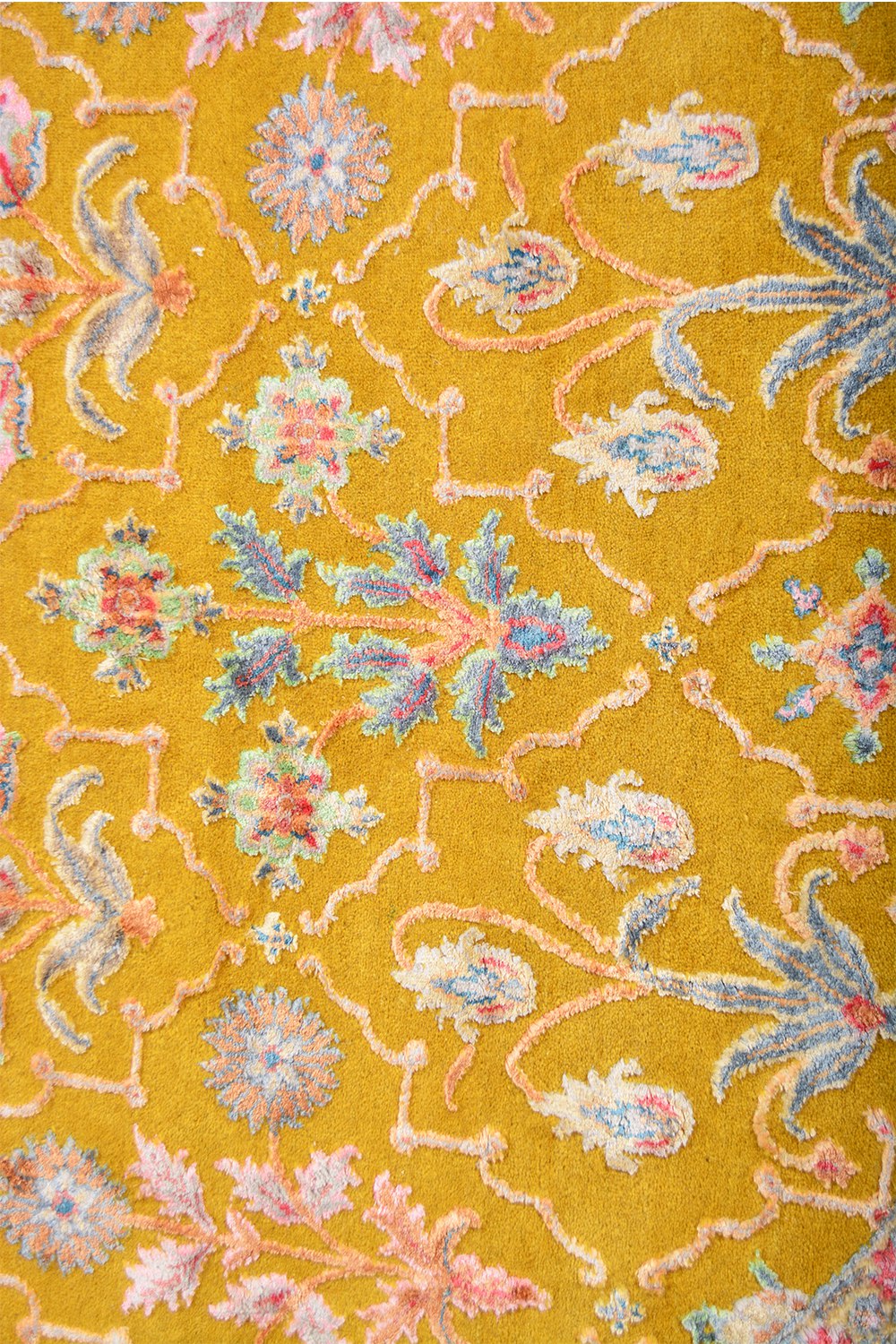 Safavid Collection – Radiant