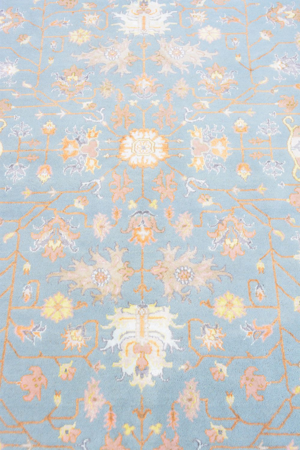 Safavid Collection – Expansion