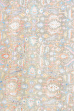 Safavid Collection - Instinct