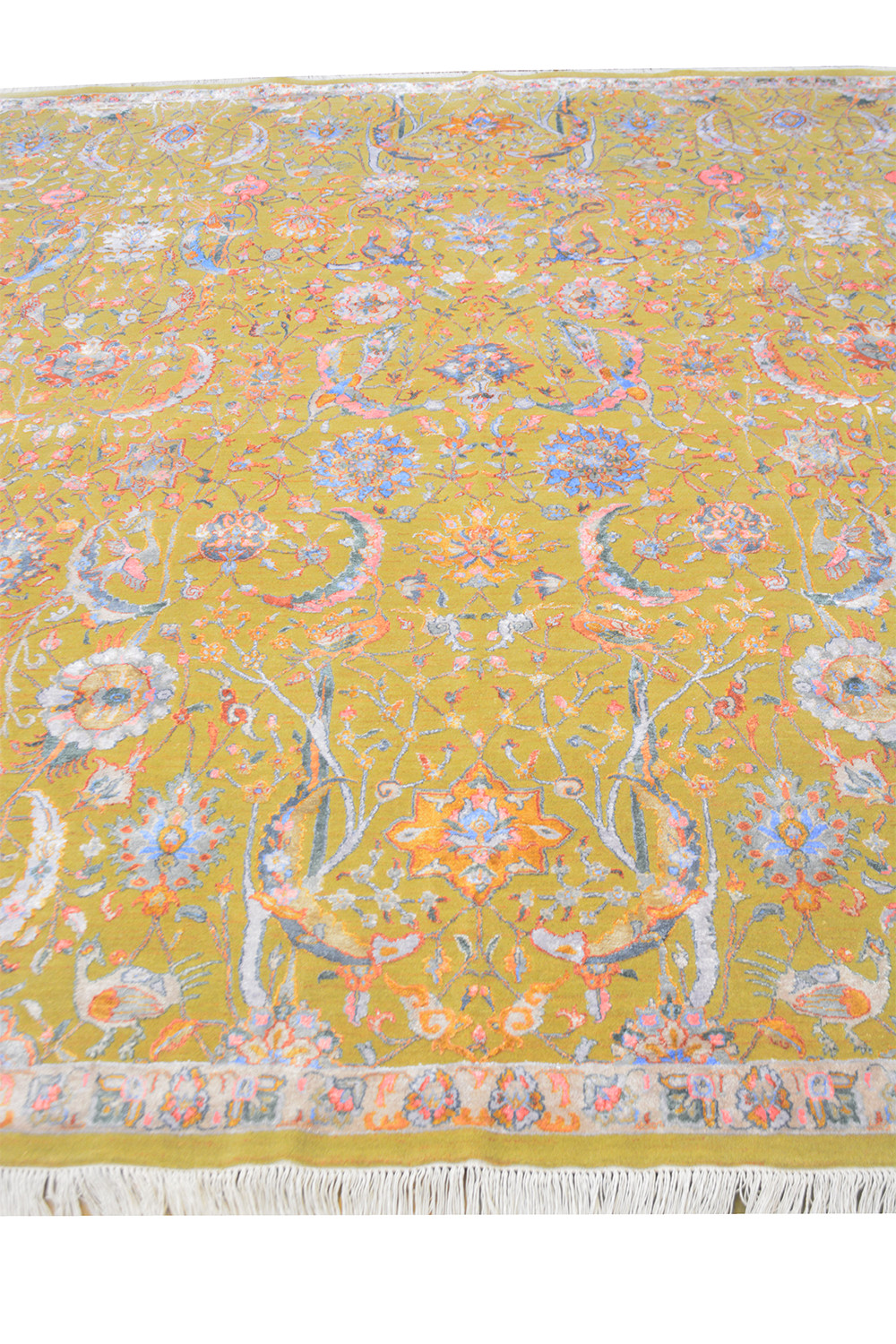 Safavid Collection - Protected