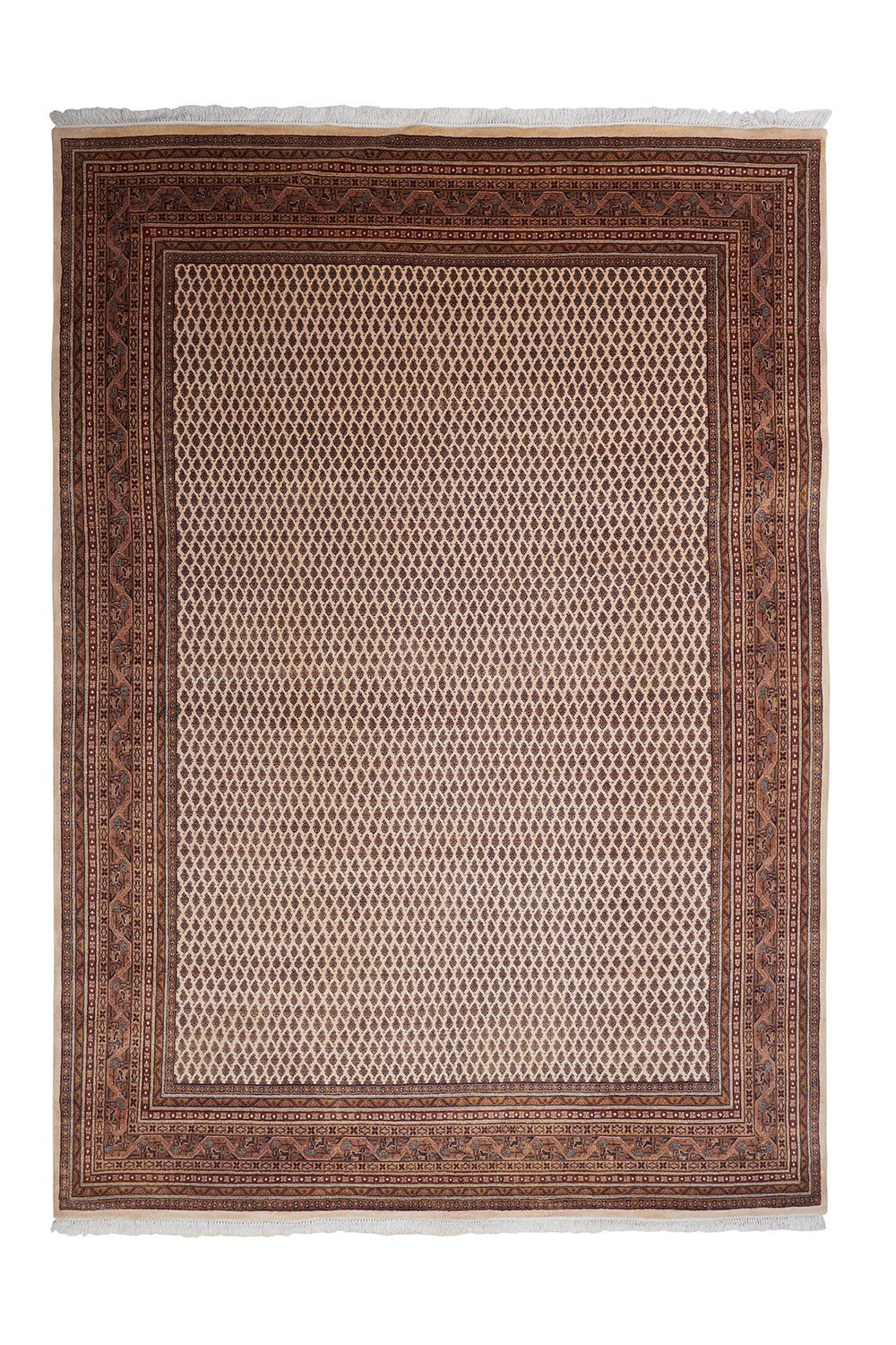 Museum Revival Series – Paisley Passion