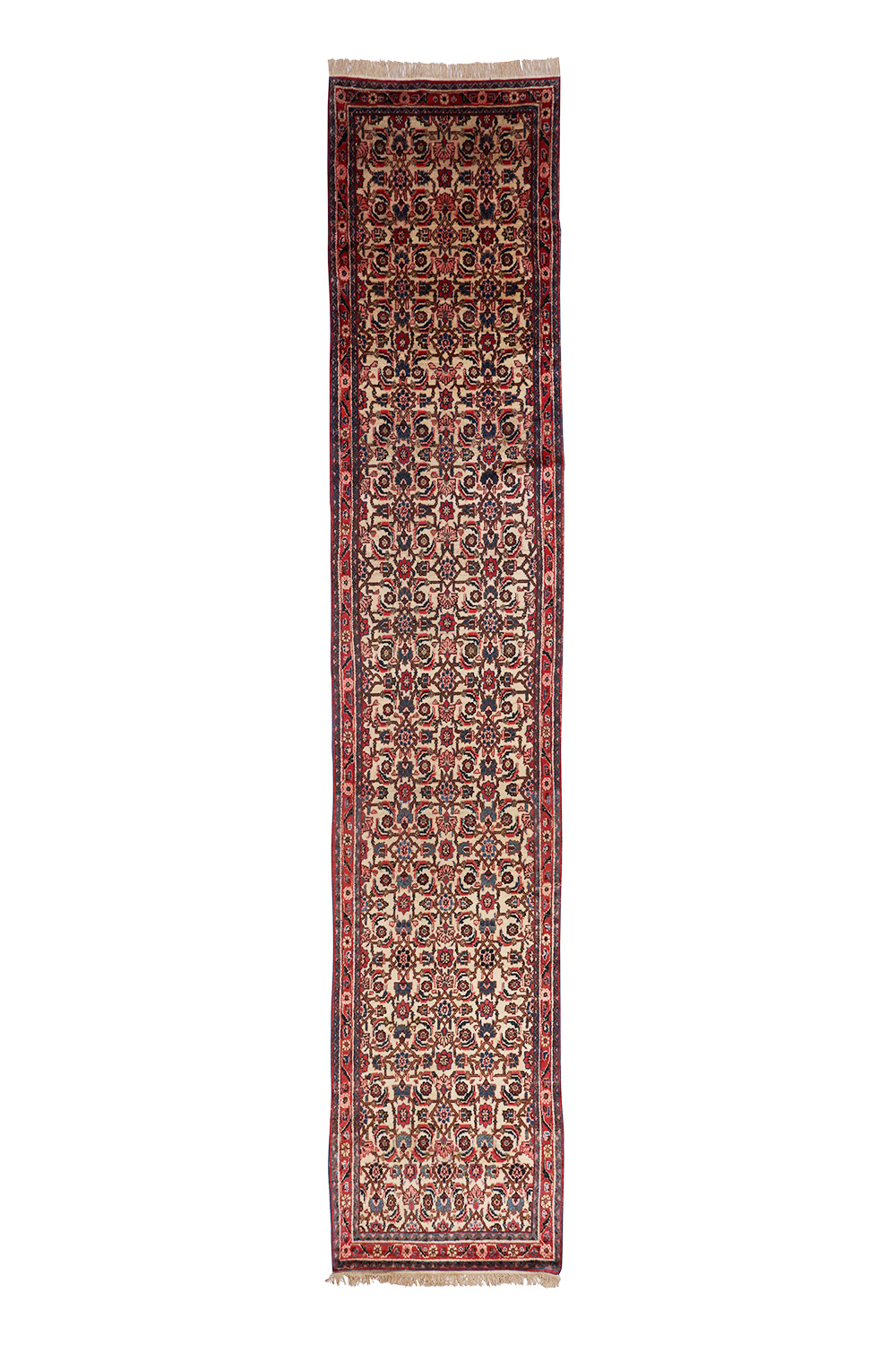 Persian Revival – Mahi Fish Design
