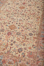 Safavid Collection - Solace