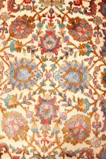 Safavid Collection - Coral