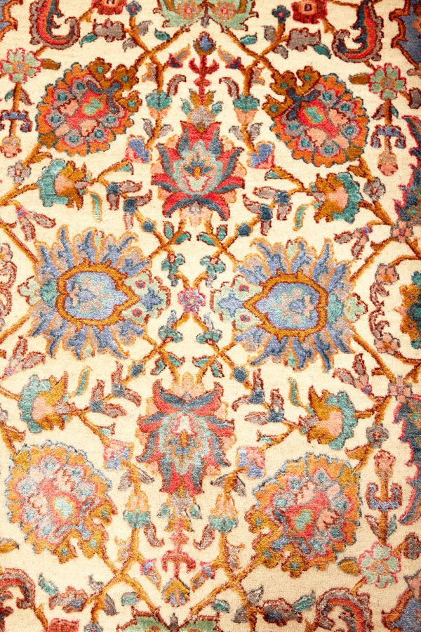 Safavid Collection - Coral