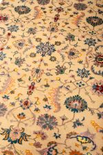 Safavid Collection - Continuous