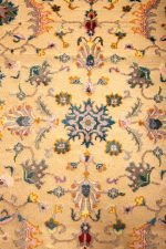 Safavid Collection - Continuous