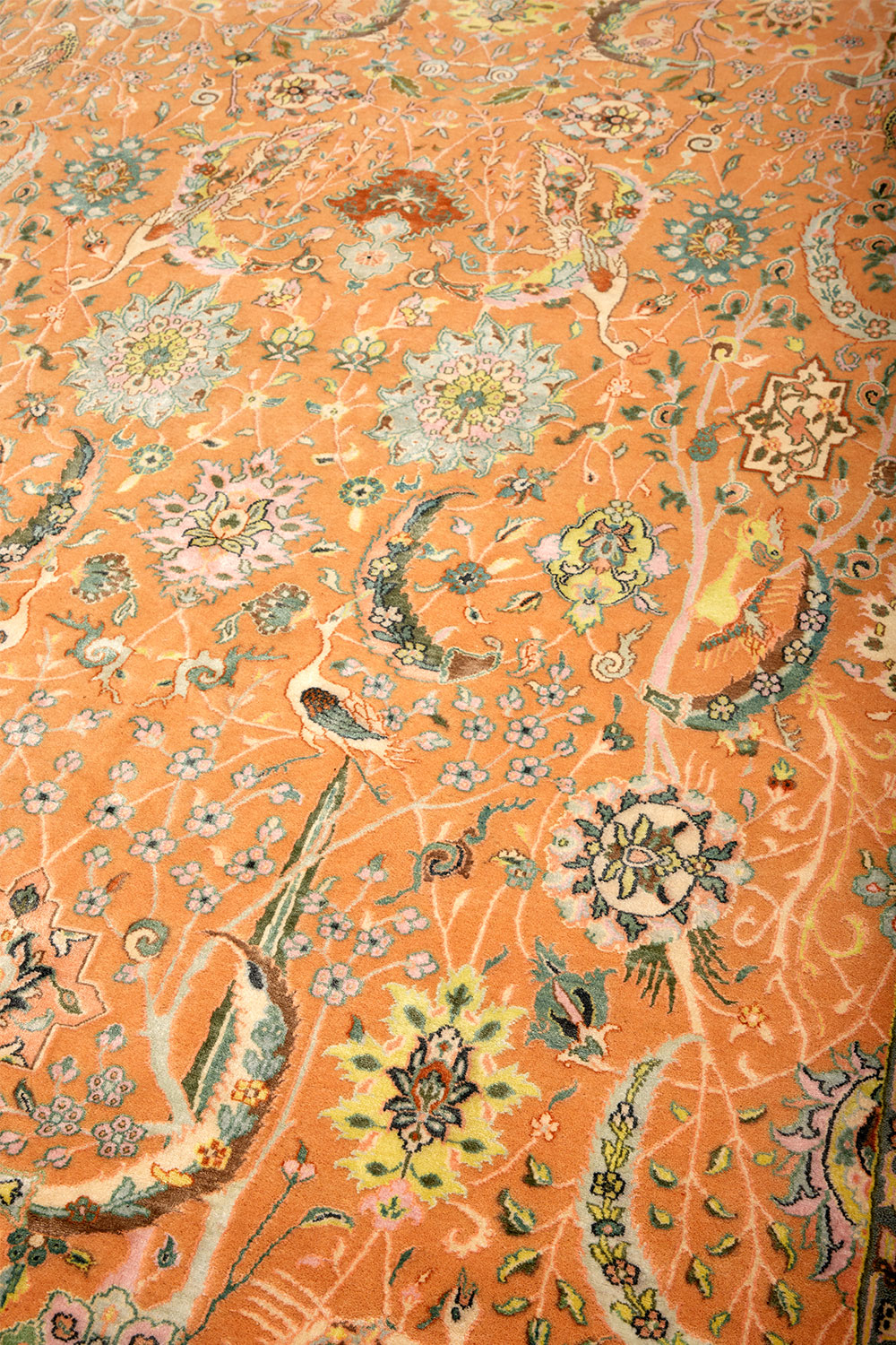 Safavid Collection – Saffron