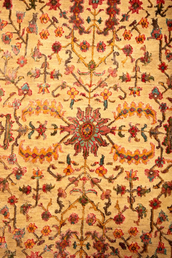 Safavid Collection - Testament