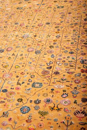 Safavid Collection - Equinox
