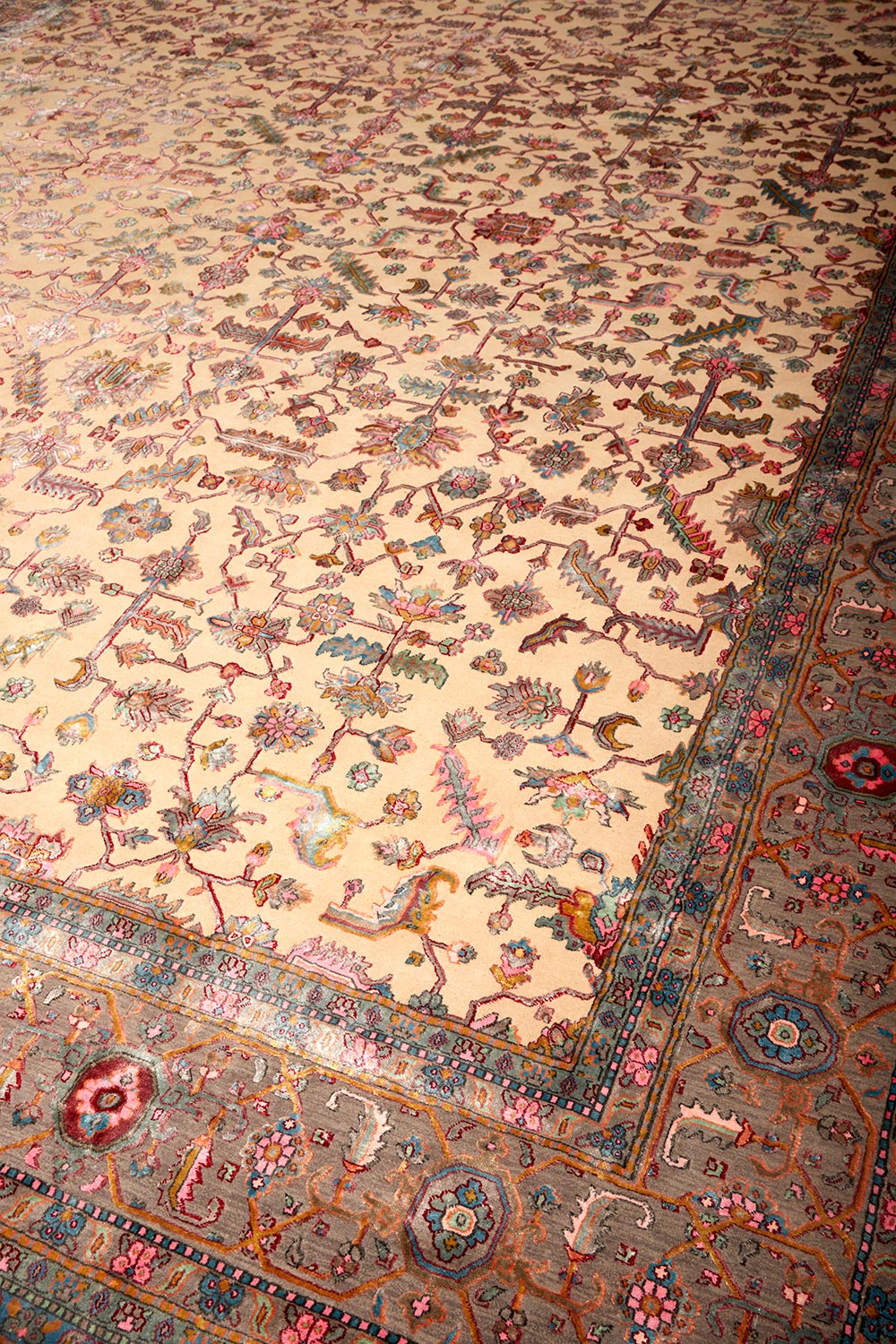 Safavid Collection – Frequency