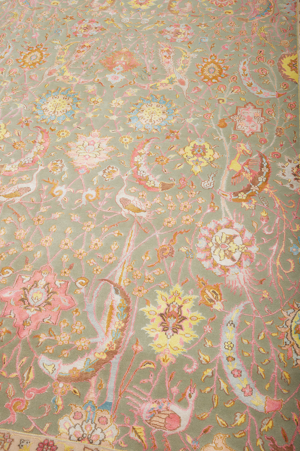 Safavid Collection – Solace