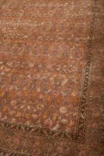 Safavid Collection - Ochre