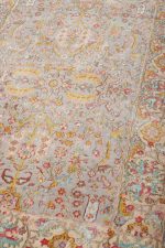 Safavid Collection - Amity