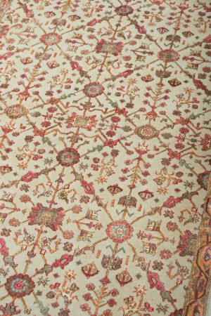 Safavid Collection - Paragon