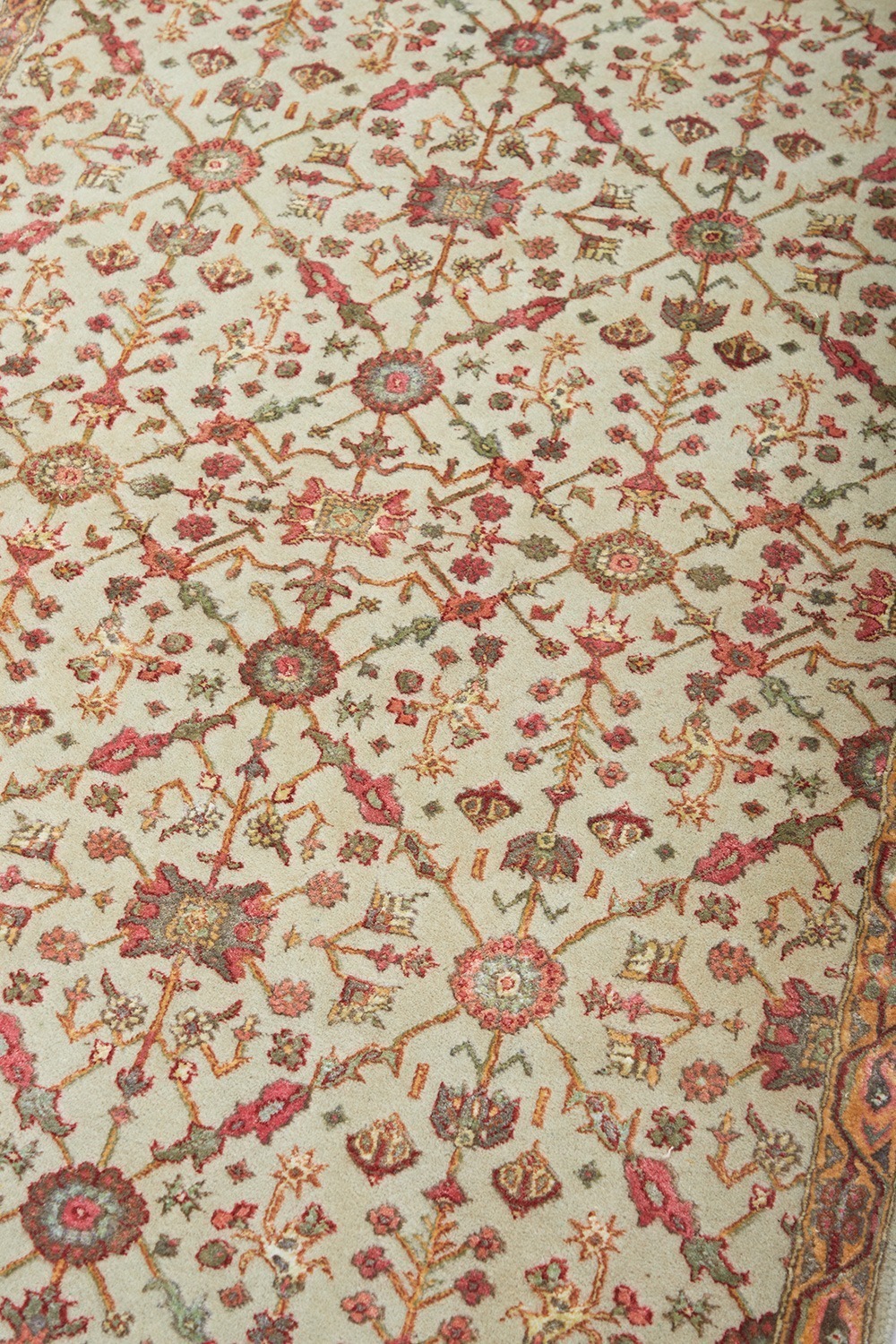 Safavid Collection – Paragon