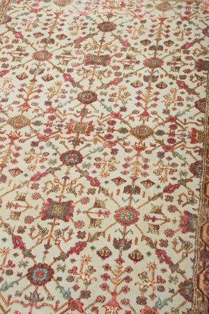 Safavid Collection - Grasp