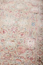 Safavid Collection - Mistral