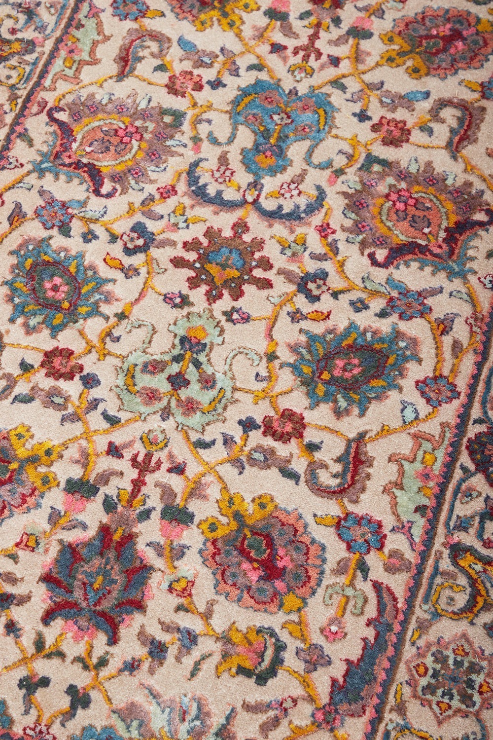 Safavid Collection – Evora