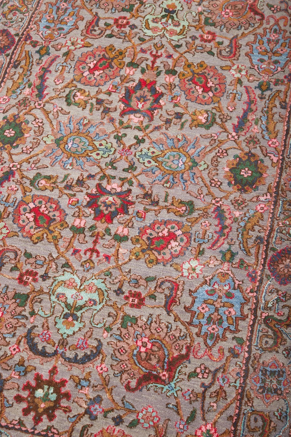 Safavid Collection – Rapture