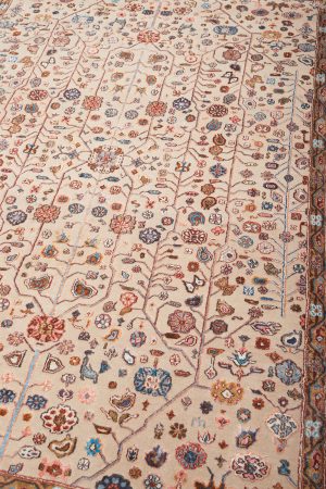 Safavid Collection - Multitude